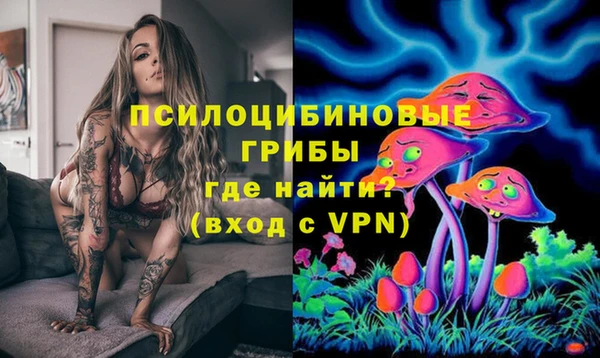 МДПВ Верея